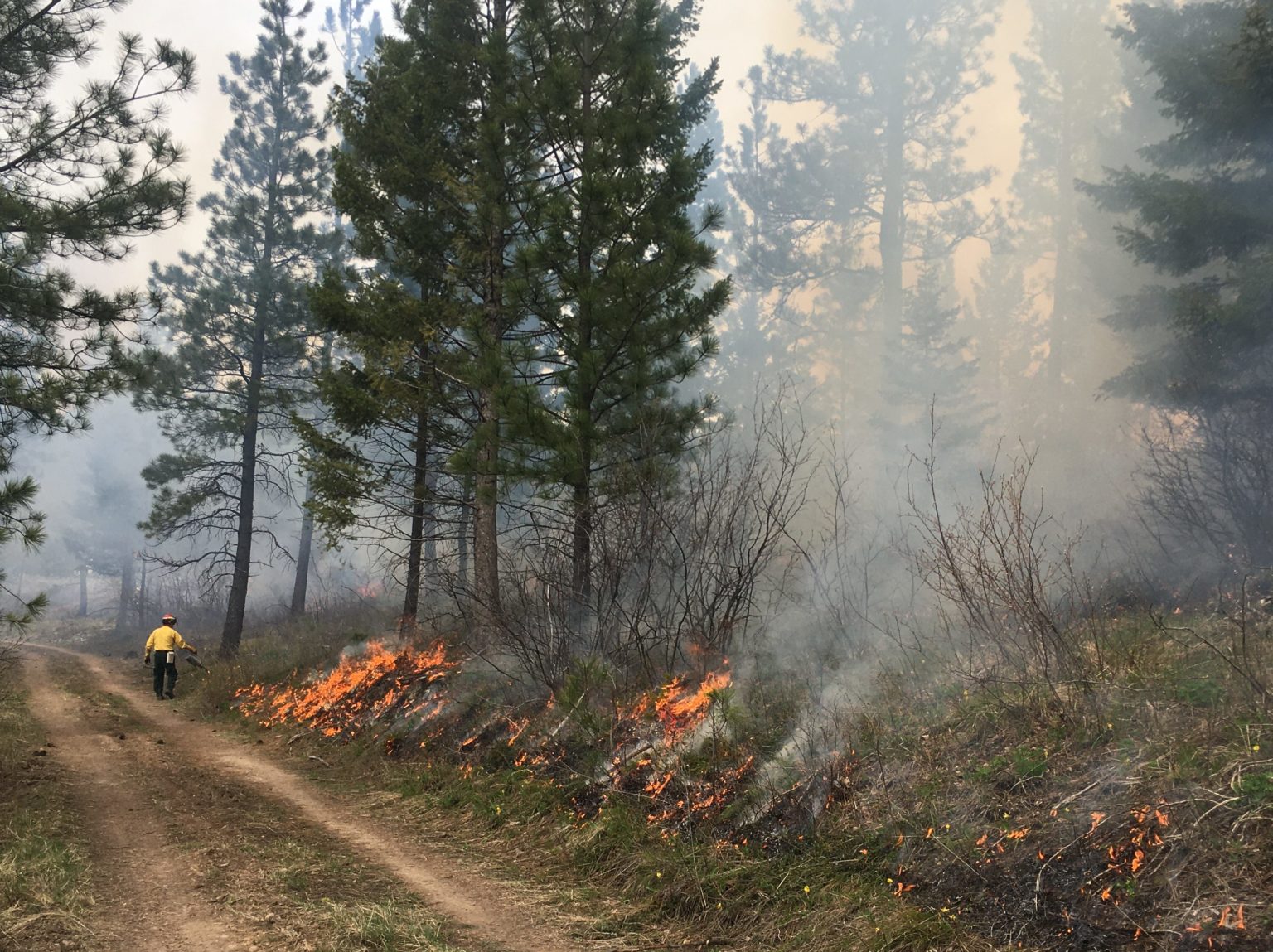 Blackfoot Challenge - Prescribed Fire