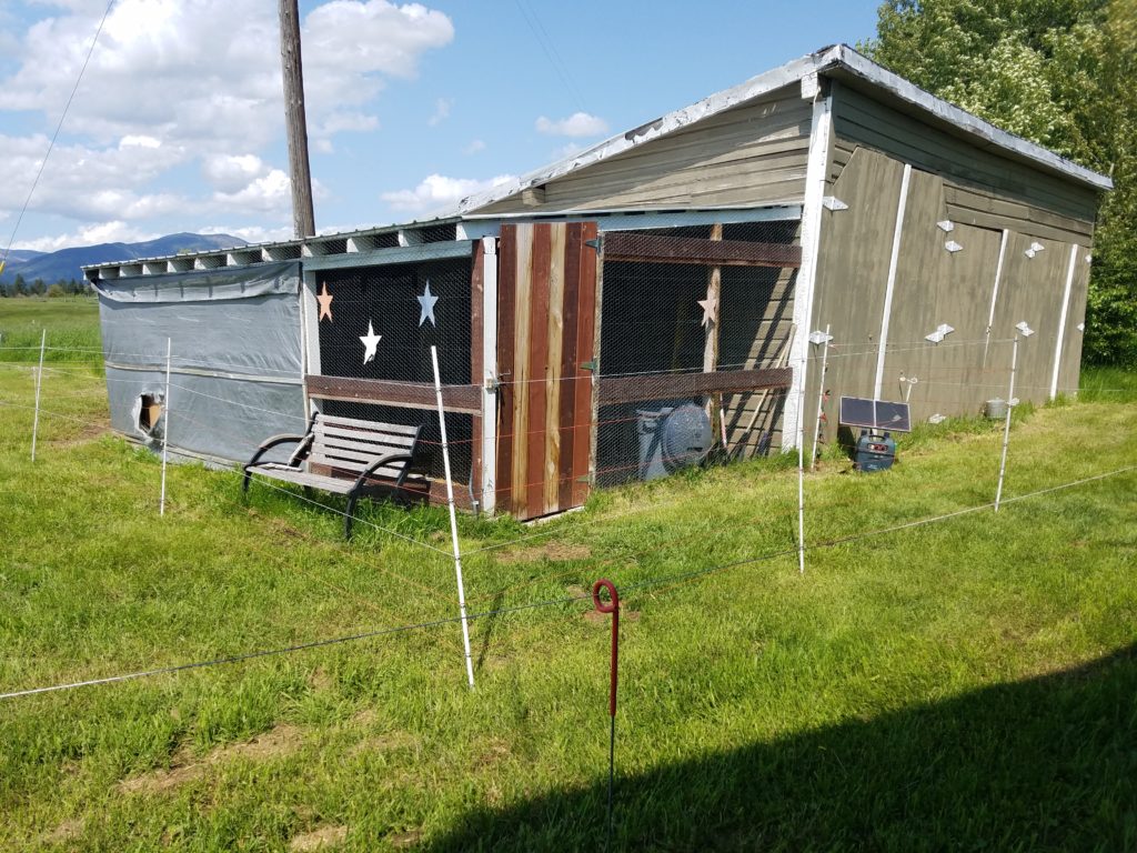 Chicken coop with an electric fence around it