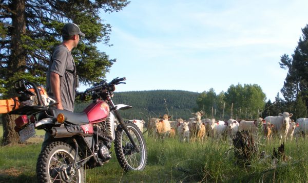self-portrait-with-motorbike-and-cows_Eric-Graham